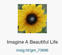 Insight Timer: Image a Beautiful Life Nourishing Audio Support - empath wisdom