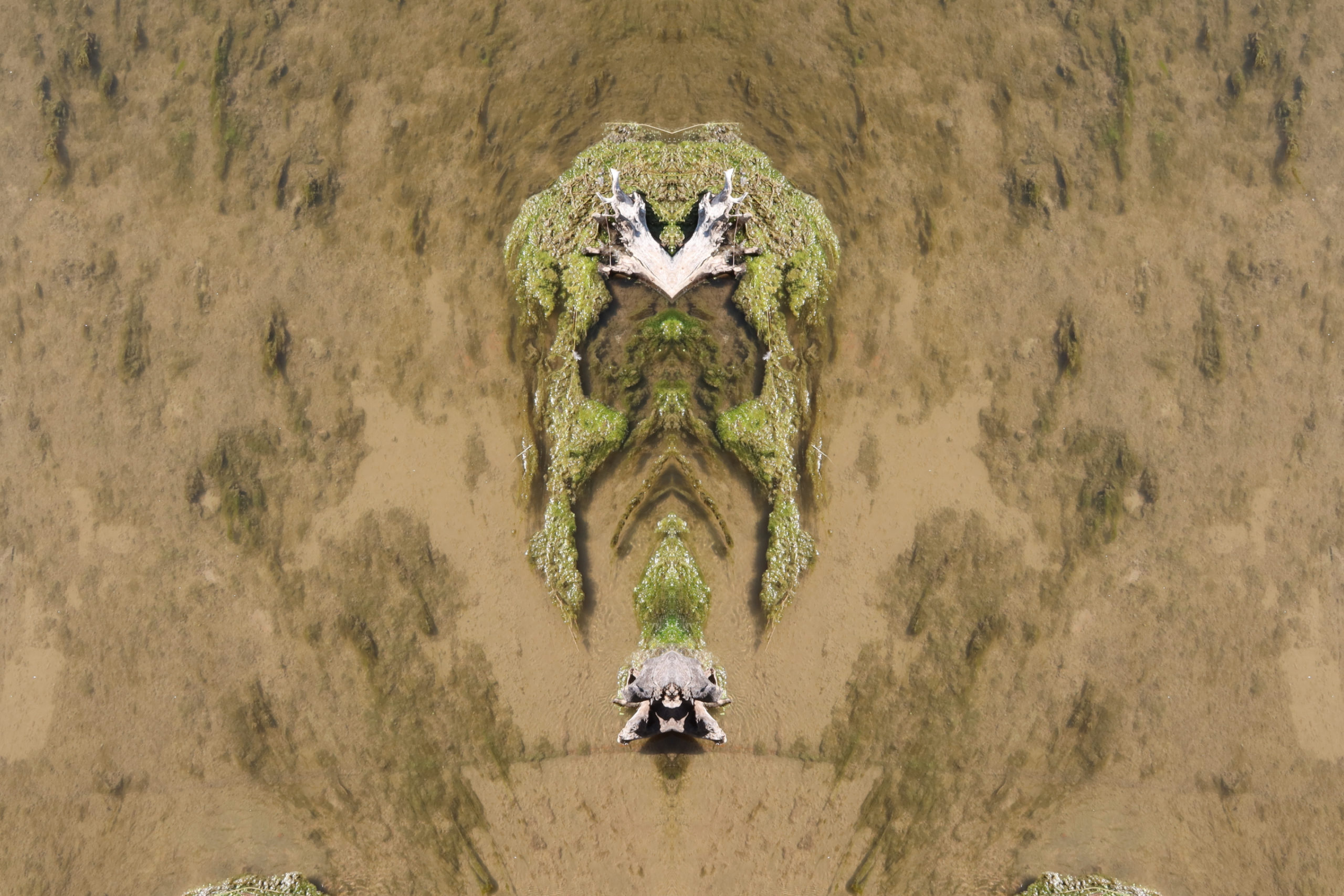 EarthImage